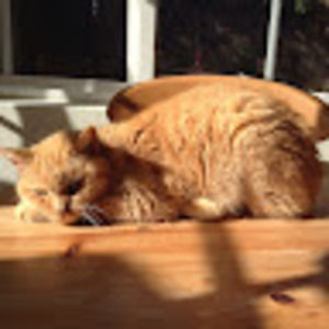 Meet your Posher, Vivian